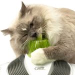Catit Centro Entretencion Wellness Center Gato - Imagen 3