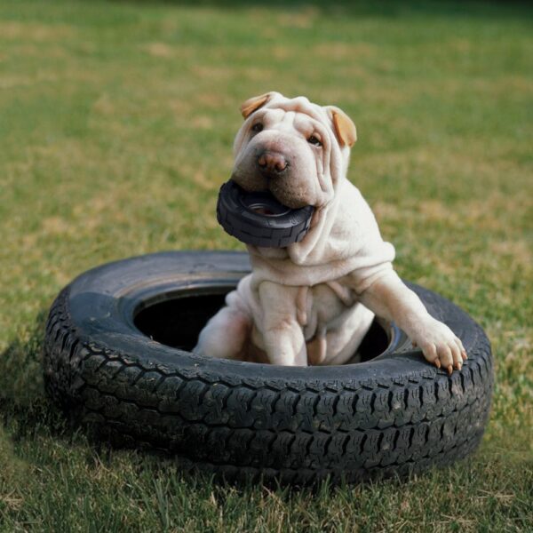 Kong Extreme Tyres Small 3