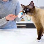Oxyfresh Gel Dental Perros y Gatos 113gr - Imagen 6