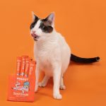 Sunichups Skin Coat Para Gato 4 Tubos 2